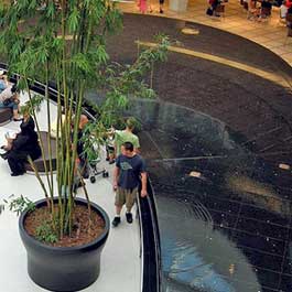 Natick Mall Reflecting Pool